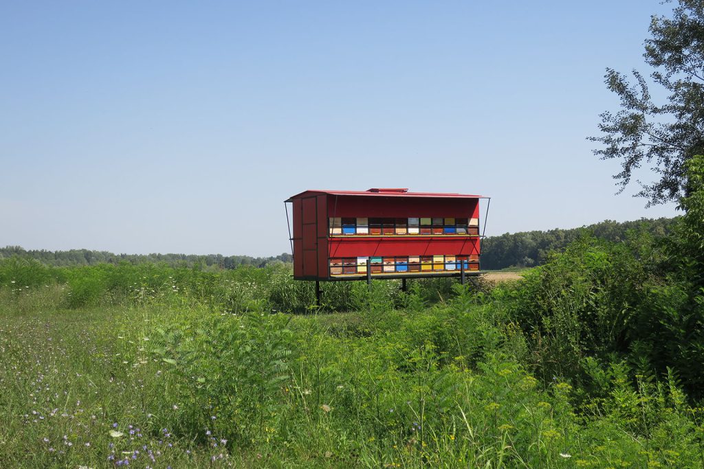 Beekeepers pursue clean air and healthy surroundings for their bees. This bee truck sits in a national park and bird sanctuary in southern Bosnia-Herzegovina.