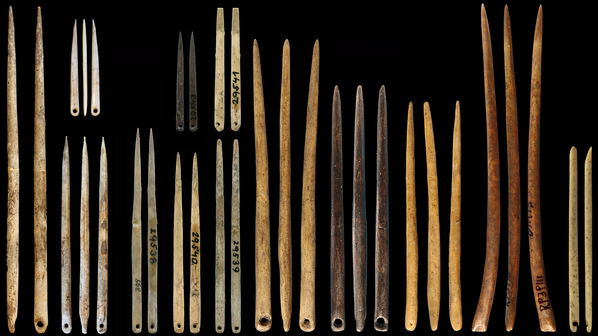 Sewing Needles Reveal the Roots of Fashion – SAPIENS