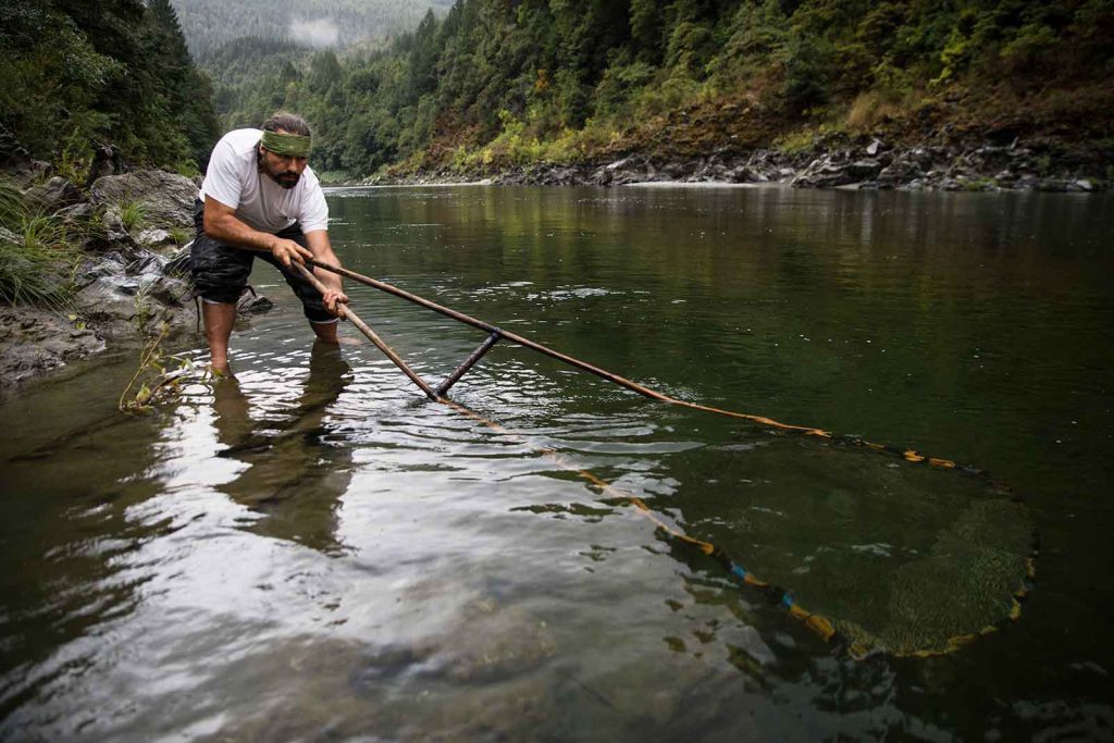 A Yurok man uses a traditional technique called “dip” netting to catch salmon on the Klamath River in Oregon. In popular media, such customs are often used to signal “real” Native Americans, even as contemporary practices, such as owning a business, are seen as “less authentic” for Indigenous people.