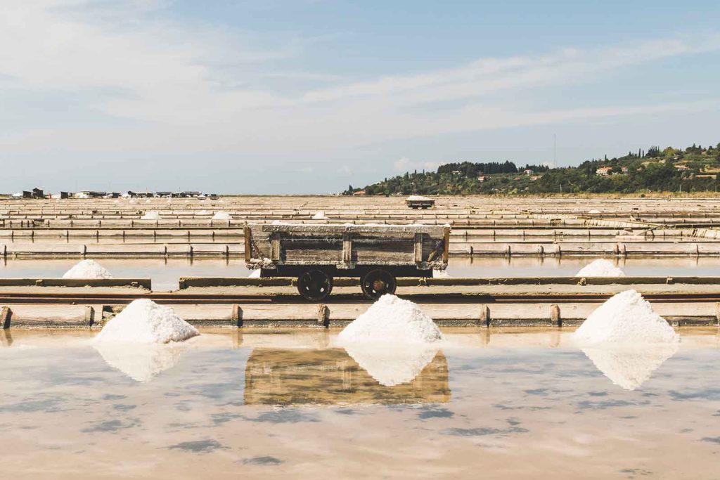 People have long sought salt for their diets. Salt evaporation ponds along the Northern Adriatic Sea, shown here, have been a source for millennia.