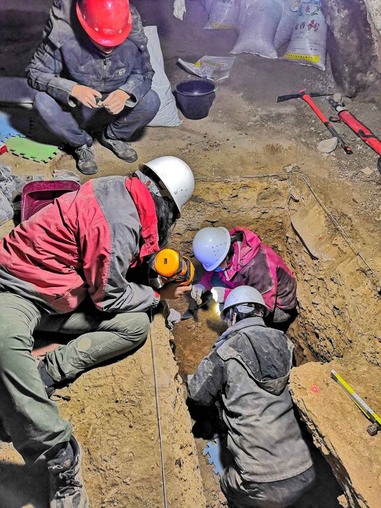 Dongju Zhang (top right in the trench) leads an excavation in Baishiya Karst Cave in 2018.