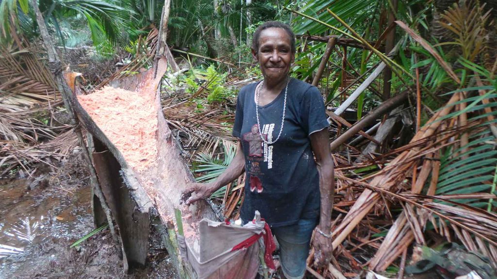 A Marind woman processes sago palm, which is a source not only of food but of kinship and shared stories.