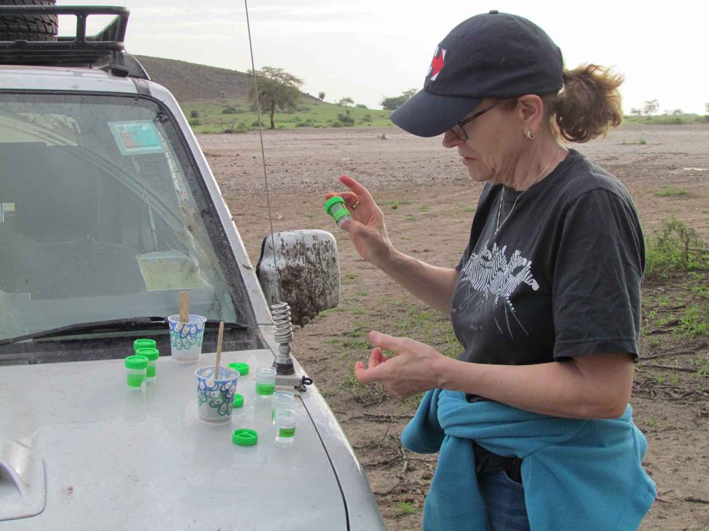 microbiome social behavior - Alberts prepares baboon fecal samples in the field in Kenya.
