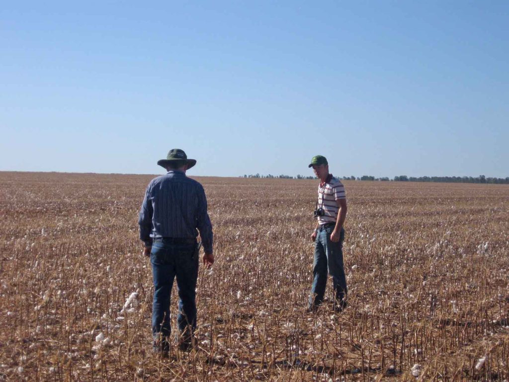 David and his father survey a cotton field on their Brazilian farm.