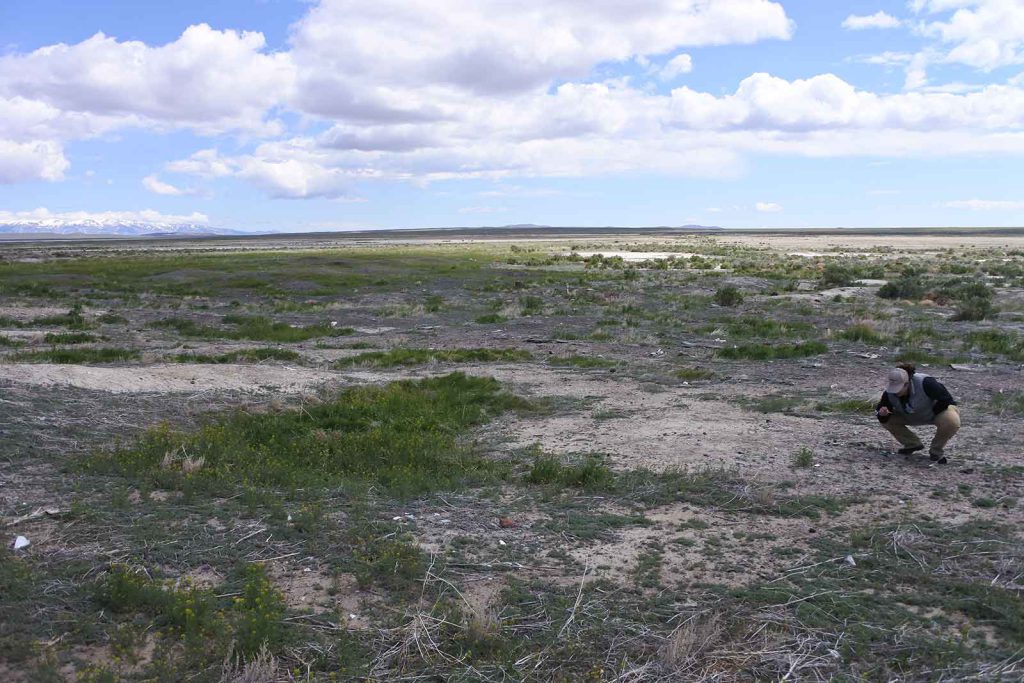 A participant in the transcontinental railroad grade tour examines the Chinatown terrain in the former town of Terrace, Utah.