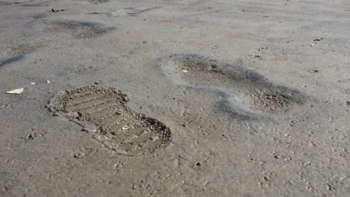 native american migration - Modern footprints in the sand echo far more ancient ones found on a beach off the coast of Canada.