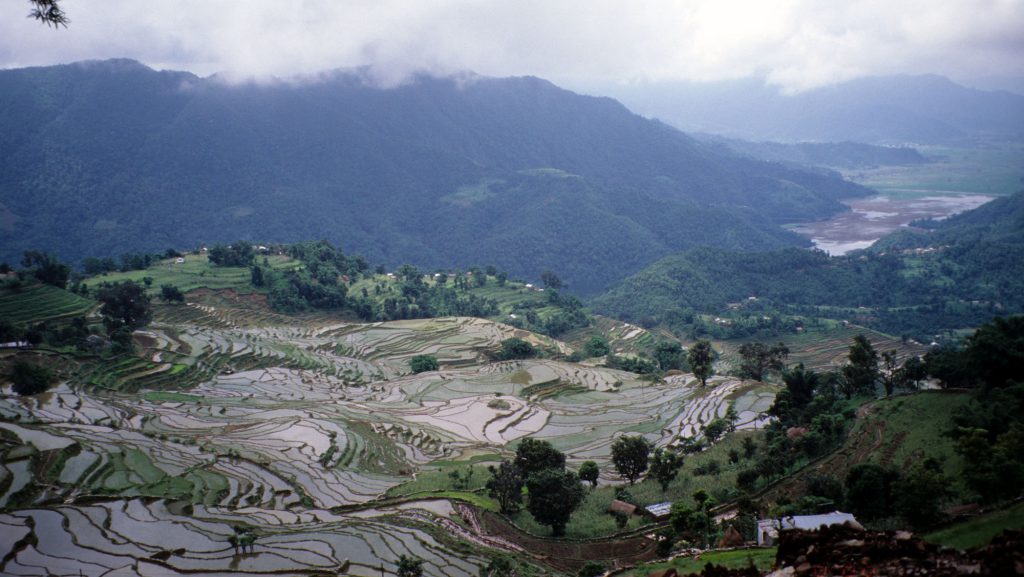 For millennia, humans have been altering the Earth—for example, through agricultural adaptations such as these rice terraces near Pokhara, Nepal.