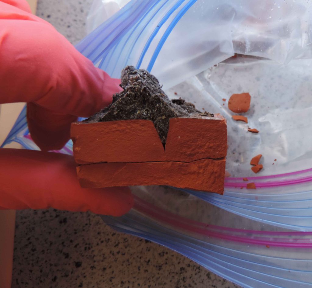 poop knife - Archaeologists used a ceramic mold to hold a cross section of frozen human poop.