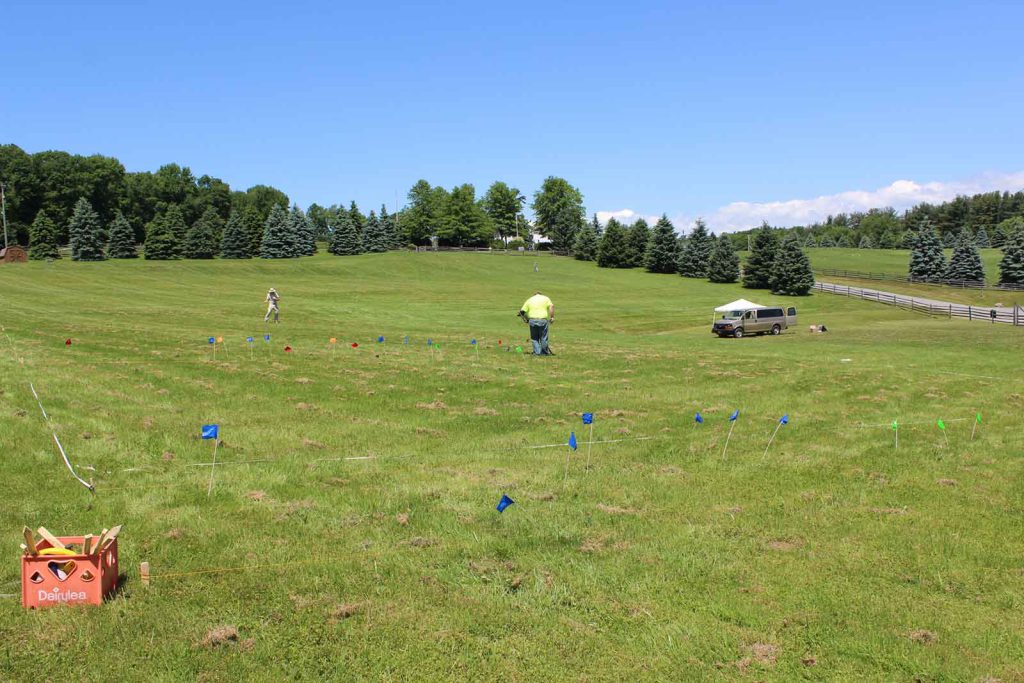 woodstock archaeology - Archaeologists used a metal detector to scavenge for garbage in the concert area.