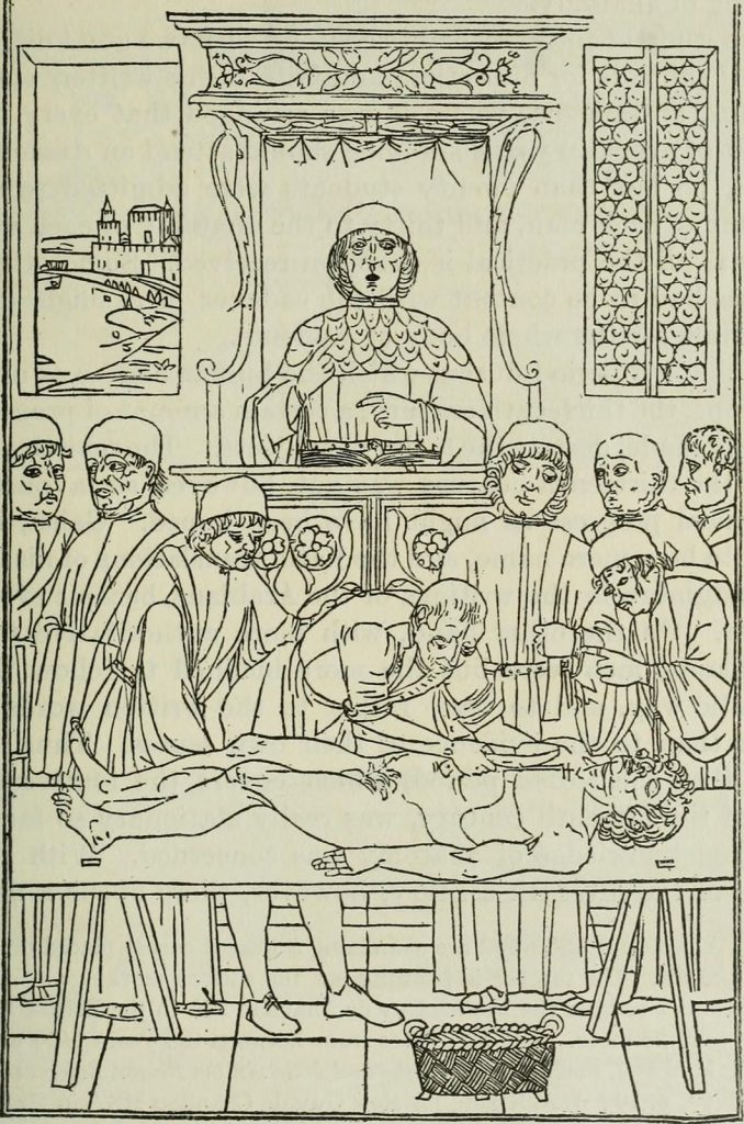 This drawing illustrates a dissection as portrayed in a 15th-century European medical treatise.
