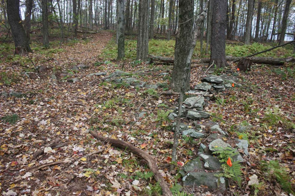 Lines and other collections of rocks mark out where vendors put their booths.