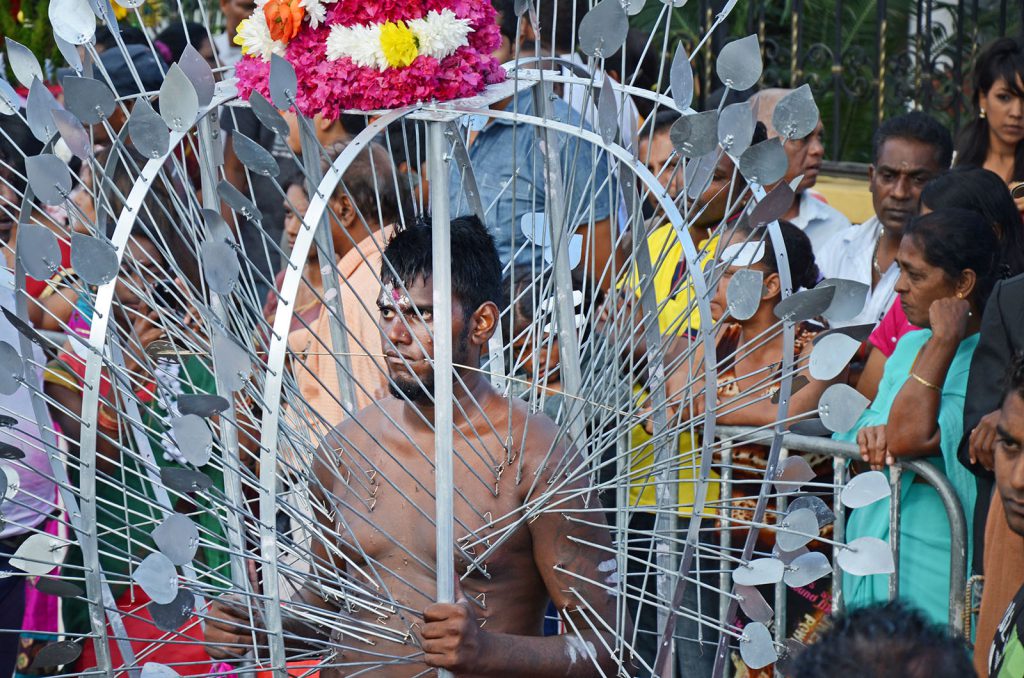 In Mauritius, some devotees carry a heavy burden attached to them through hundreds of needles; others pull a chariot behind them through hooks pierced in their backs.