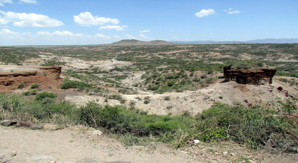 A vast desert region with sloping mountains in the background features green brush and a narrow dirt road.
