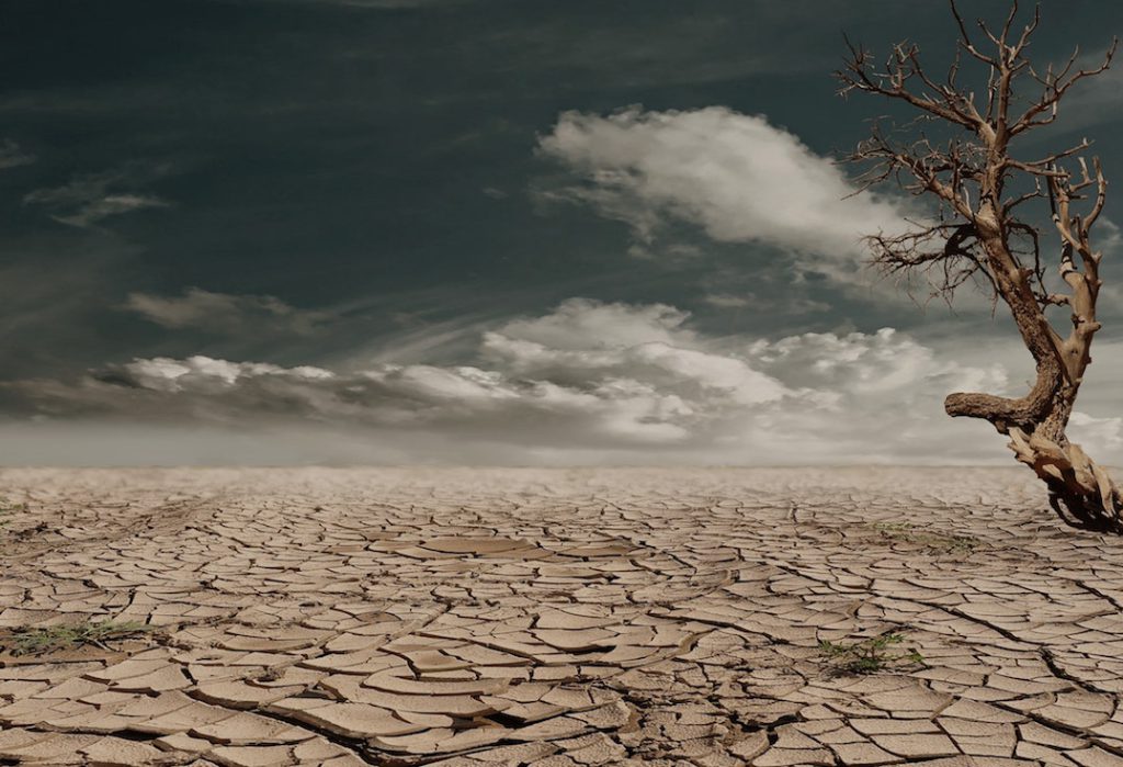 The destruction of forests contributes to widespread drought through atmospheric processes that can seem like sorcery.