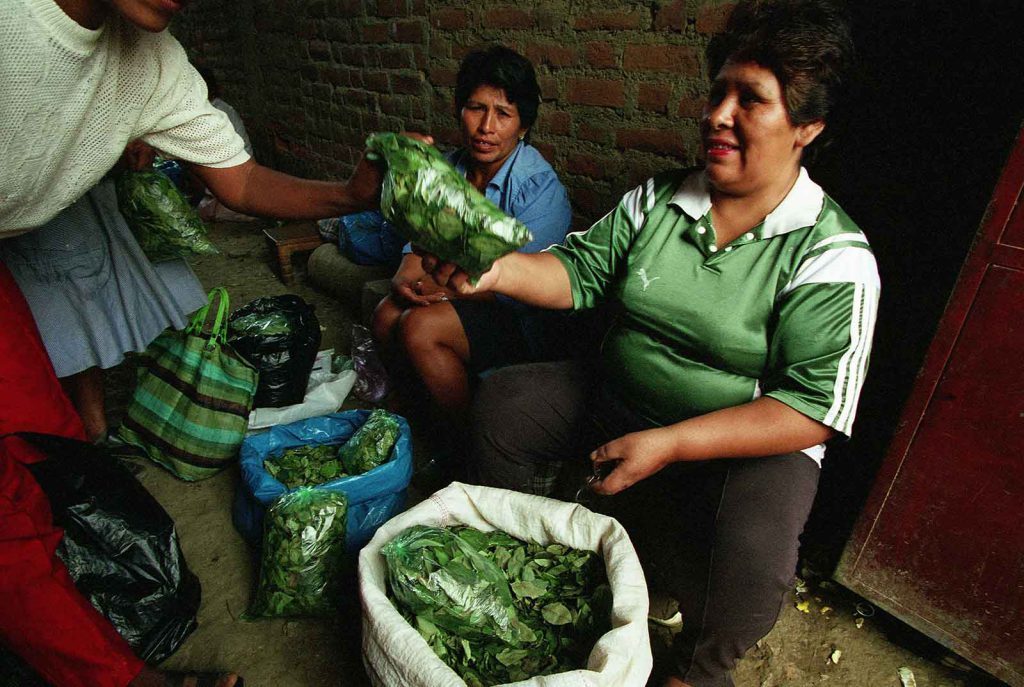 A woman sells coca leaves at a market in Peru, where the controversial plant is a profitable crop for poor farmers.