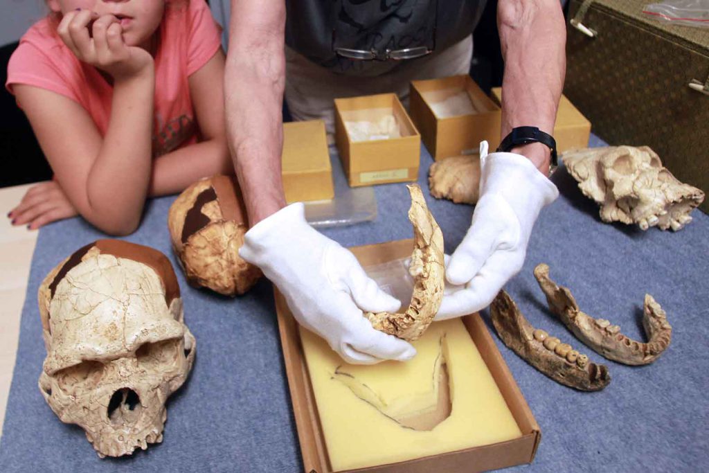 This 450,000-year-old jaw from Tautavel, France, held by a paleontologist, came from an archaic human.