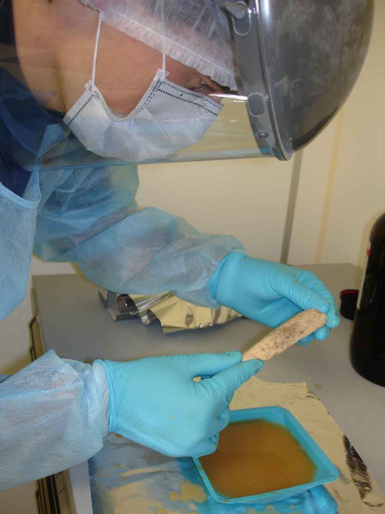 A researcher examines a Neanderthal fossil with protection on so as not to contaminate the sample’s DNA.