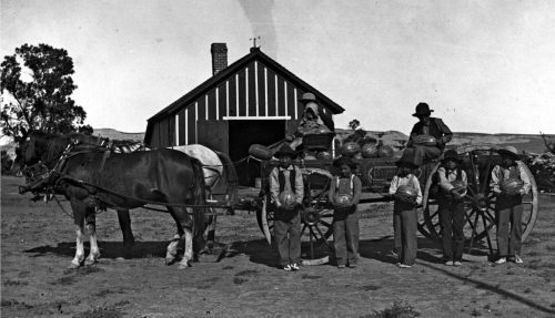 Boys were schooled in farming, carpentry, and metalworking. This industrial training was geared less toward vocational achievements and more toward inculcating gender norms, social roles, and even food preferences. In this photo, schoolboys at Lower Cut Meat Creek Indian Day School show off the watermelons they grew.