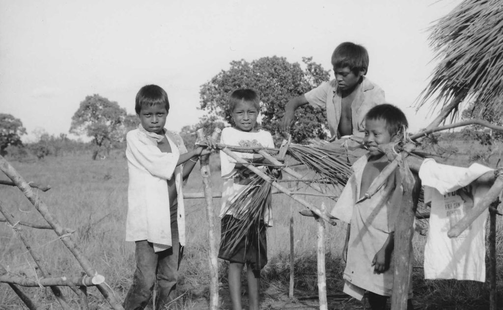 human population evolution - Savanna Pumé (hunter-gatherers in Venezuela) children, shown here building a house, learn to cooperate from a young age.