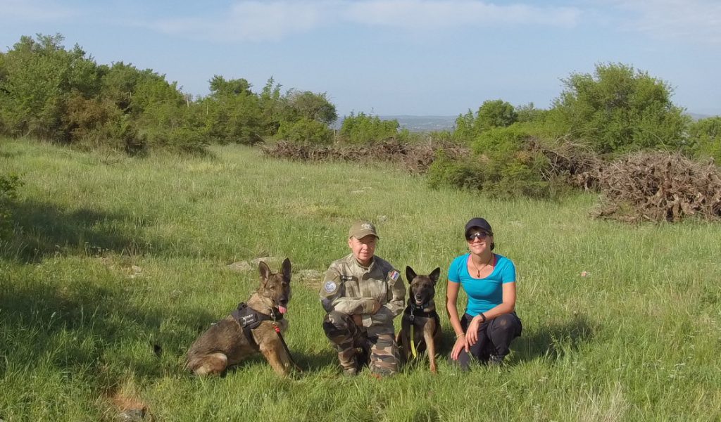 archaeology dogs - Archaeologist Vedrana Glavaš (at right) is partnering with Andrea Pintar (left) to train dogs Arwen and Panda (left to right, respectively) to identify human remains from centuries past.