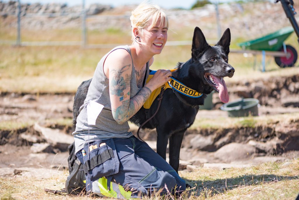 Sophie Vallulv, an archaeologist based in Sweden, trained her dog Fabel to help excavate an Iron Age site.