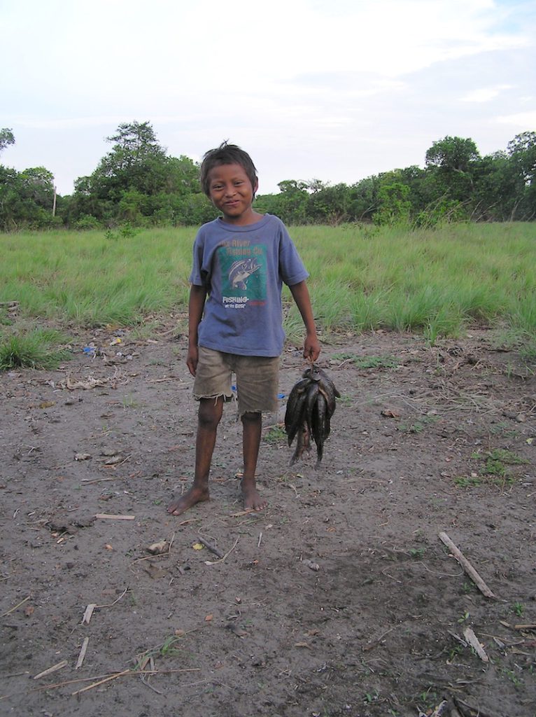 On foraging days, Pumé boys carry home enough fish to feed themselves and some members of their family.
