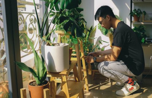 A person kneels in front of rows of plants by a window.