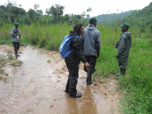 Conservationist Madeleine Nyiratuza (center) walks through Rwanda’s Gishwati Forest with three eco-guards, who were charged with protecting the area.