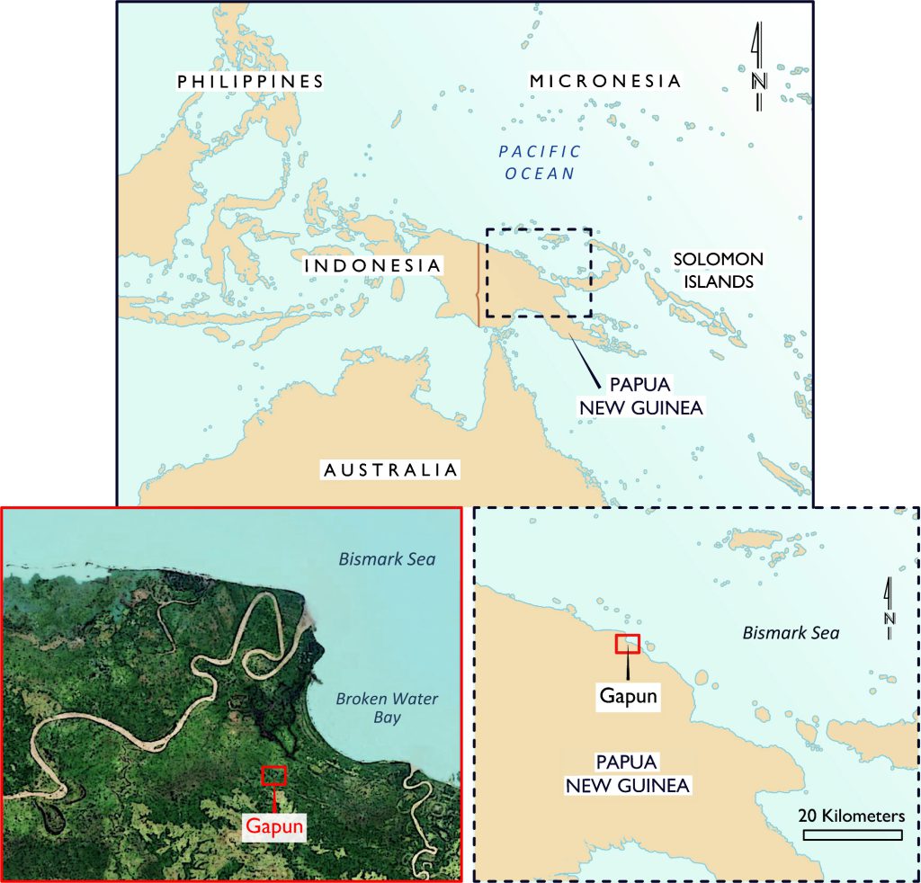 The Tayap language originated in Gapun, a village surrounded by dense mangrove forests and located near the mouth of the Sepik River.