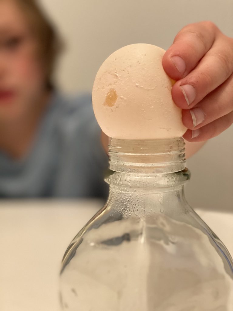 The author and her family try out an experiment with an egg.