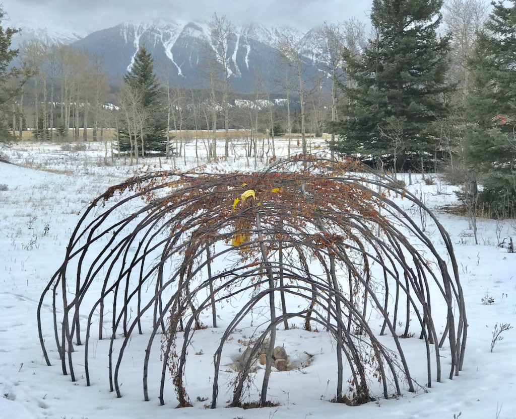 sweat lodge ptsd - Heated, dome-shaped sacred structures called sweat lodges have been used for generations by Indigenous peoples in North America to support healing, revitalization, and community.