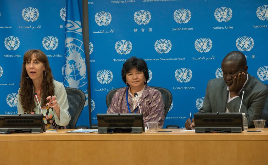 thirty thirty indigenous - A 2015 panel at the United Nations discussed the necessity of taking Indigenous community’s concerns into account as part of sustainable development.