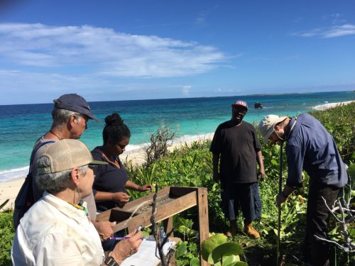 Indigenous Caribbean - Volunteers and students from the United States and the Bahamas helped excavate the dunes where the Lucayan ancestral remains were found.