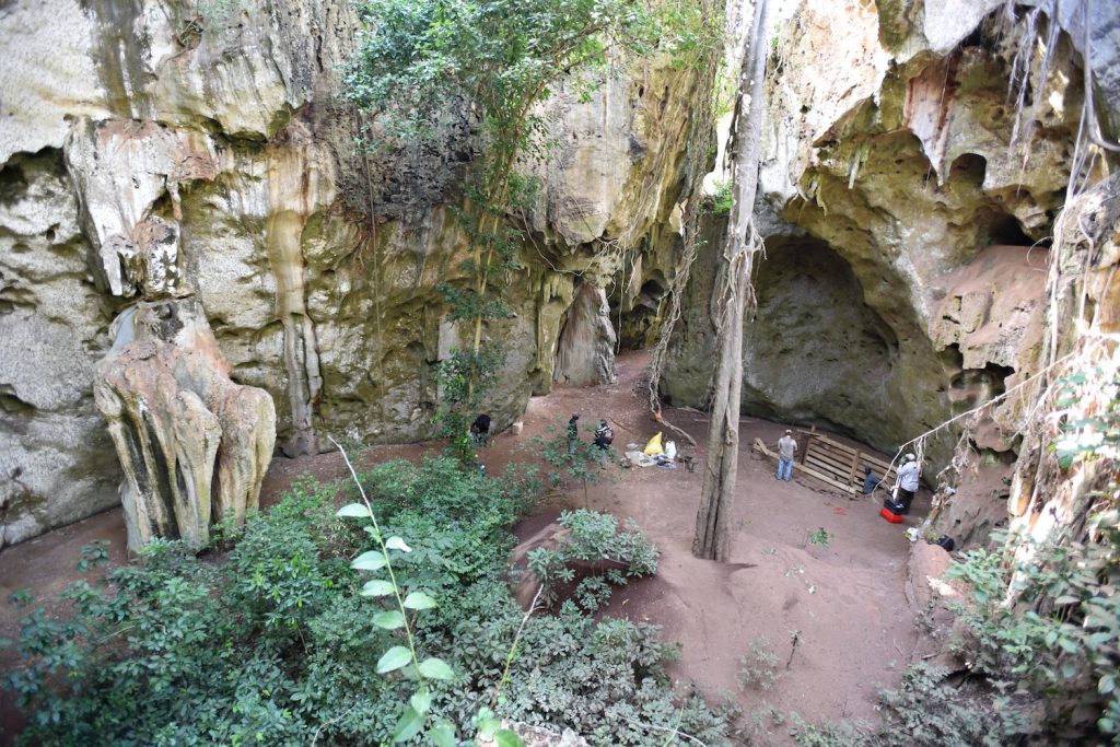 An overhead shot of a limestone cave with green vegetation inside. Two people stand near a fence on the right.