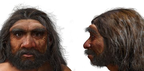 The face and profile of an ancient human with long, dark hair, bushy eyebrows, and a full mustache and beard.