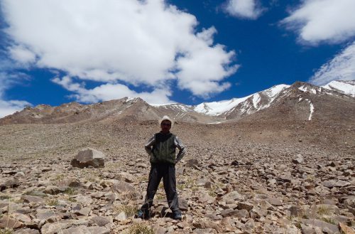 A person stands amid rocks and tufts of grass on the flank of snow-capped mountains.