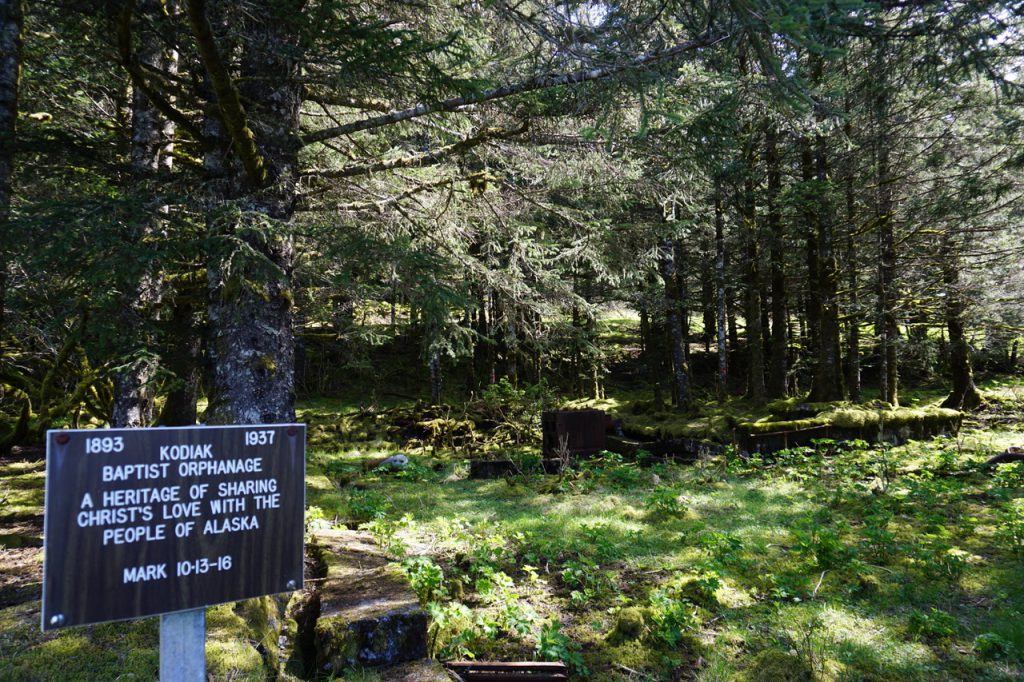 A black sign with white letters is on the left beside a grove of tall trees and the moss-covered ruins of a building.