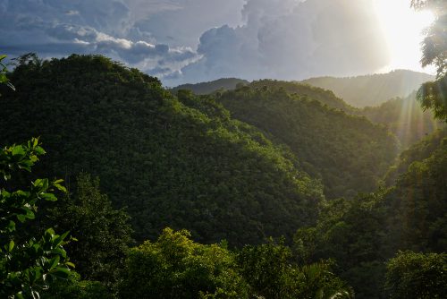 Rays of sunlight shine down over hills covered in lush green foliage.