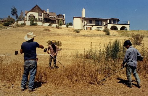 Three people stand on at the bottom of a hill covered in brown grass with a white house at the top. Two cut long, brown plant stalks while the third person observes.