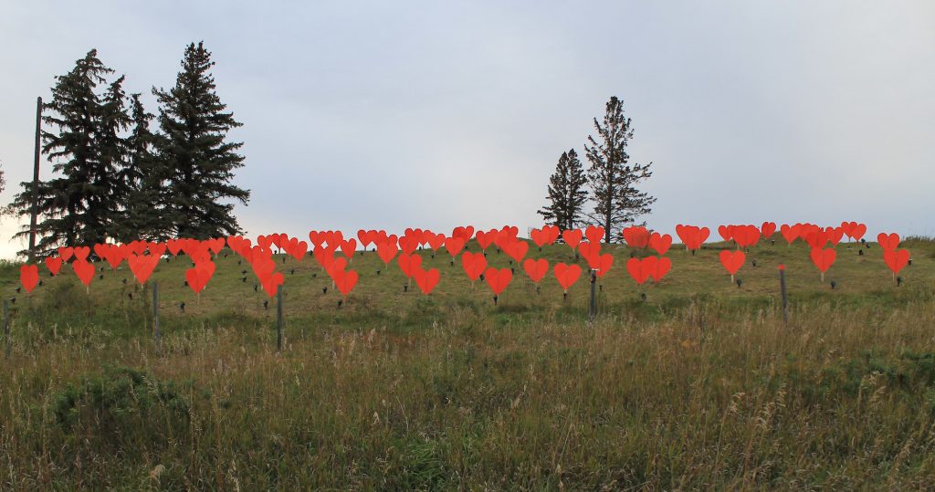 More than 100 orange hearts sit on the side of a grassy hill with small lights in front of each one.