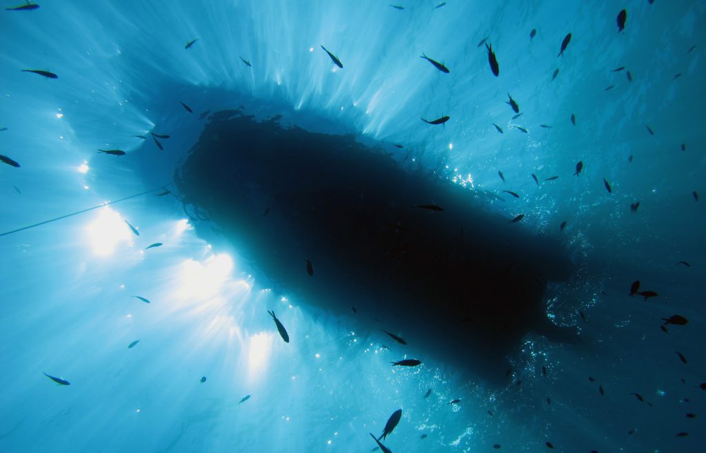 The image shows the dark bottom of a boat floating on the water and the outline of small fish.