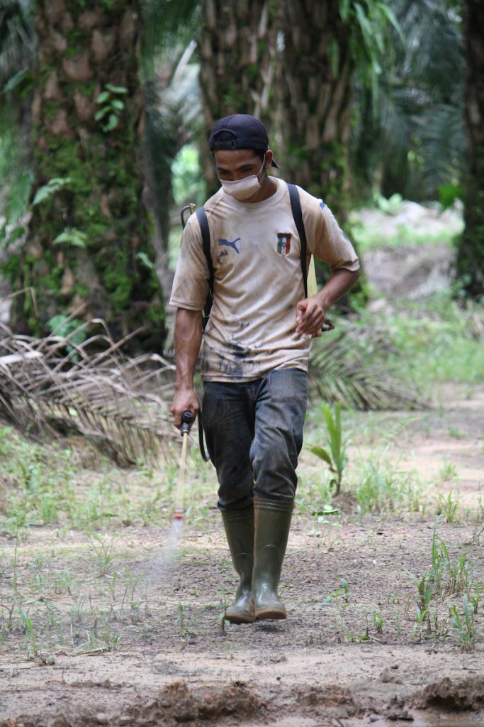 A person in a beige shirt, dark pants, and a mask sprays the ground among palm trees with liquid from a pack on their back.