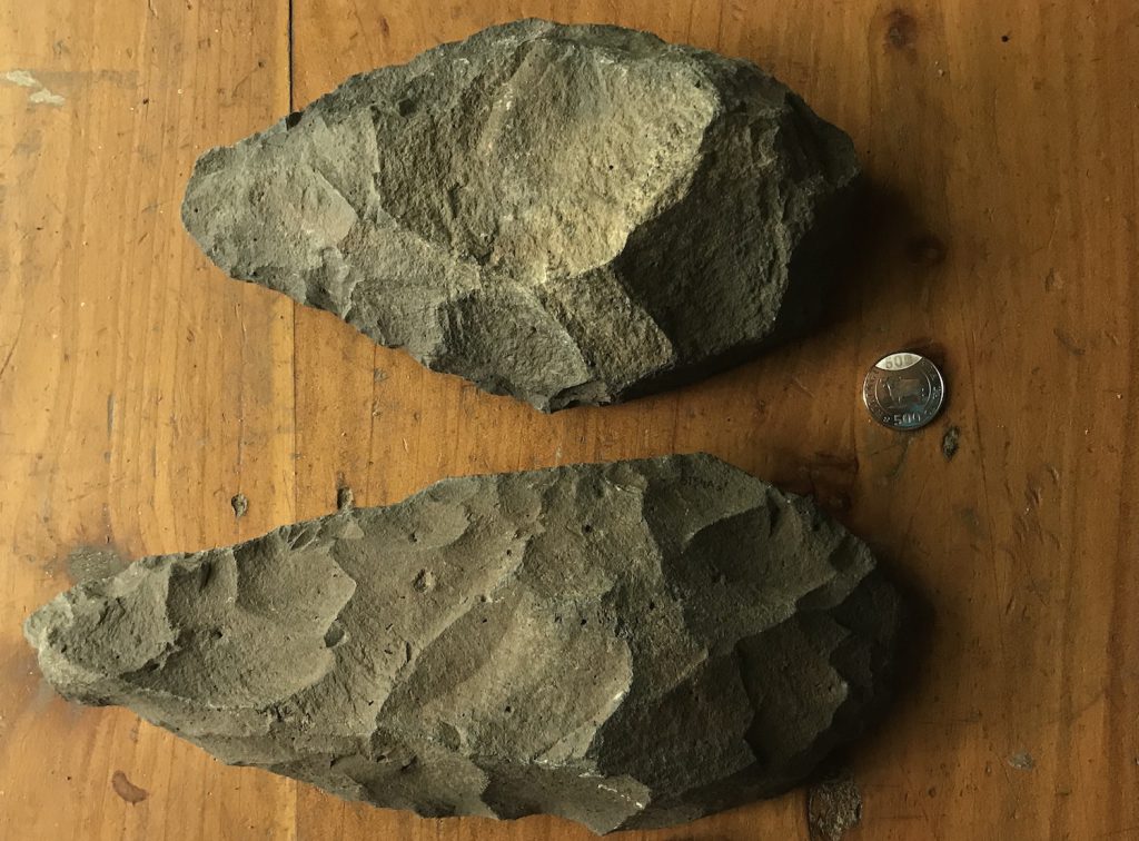 Two large almond-shaped rocks with cutmarks covering their surfaces lie on brown wood with a small metal coin between them.