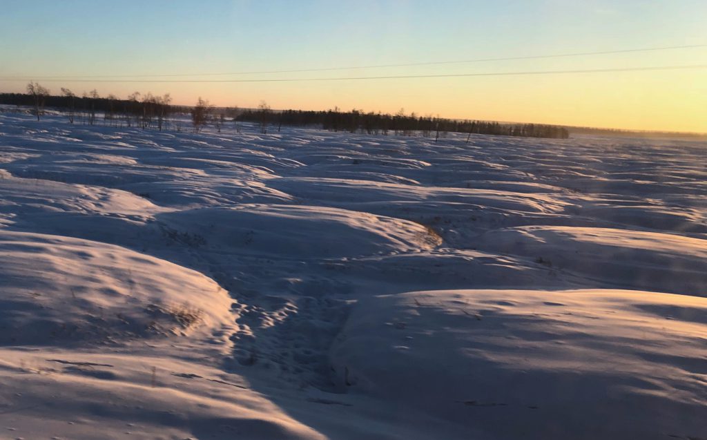 A large swath of land is shown covered by snow formed into many short domes all the way to the treeline.