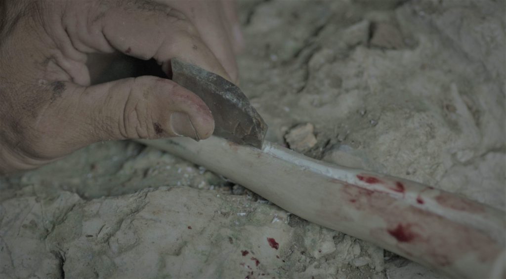 A dirty and bloodied hand holding a small stone tool cuts a long groove into a piece of bone.