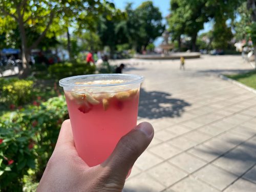 A photo shows a hand holding a plastic cup filled with pink liquid and small bits of yellow and red fruit against a tiled pathway lined with grass, bushes, and trees.