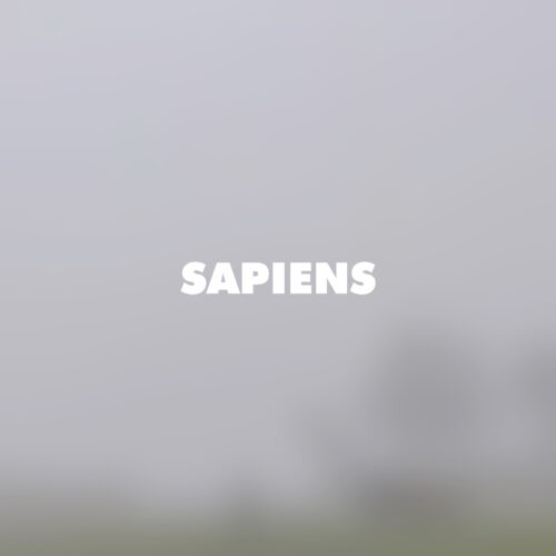 The word "SAPIENS" on an off white-green background.