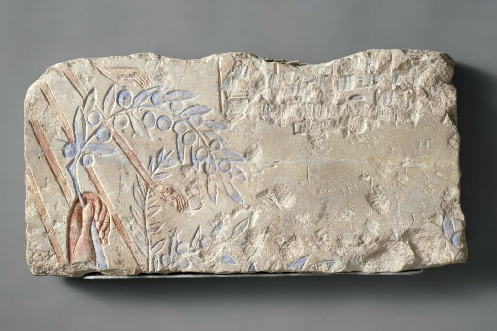 A slab of white stone against a gray surface features carvings of a brown hand holding up a branch with olives while other hands reach down to grab other plants.