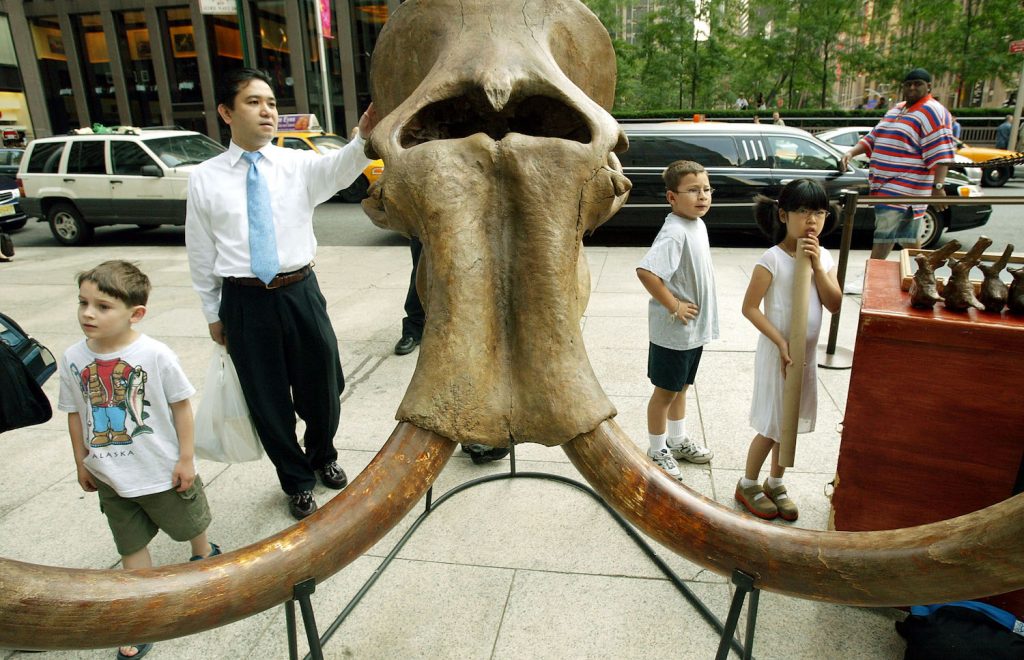 An adult and three children stand next to a large beige mammoth skull with a hole in the center and two shiny tusks.