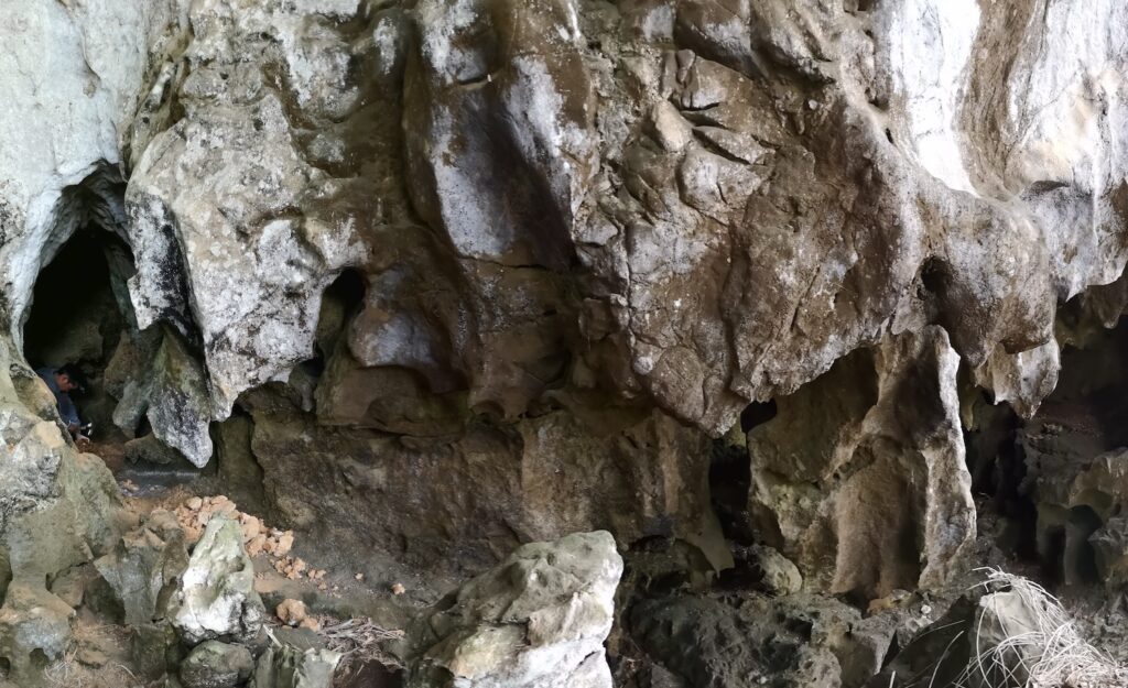 The image features the opening of a gray rock cave surrounded by jagged overhangs.